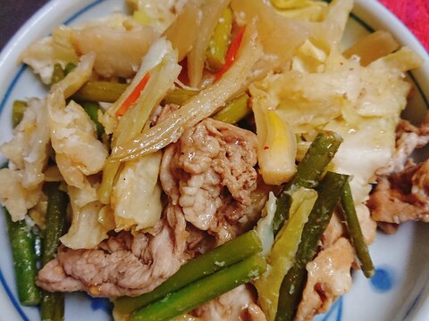 ニンニクの芽と豚肉の野菜炒め